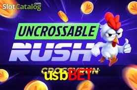 Bonus Features usbbet
